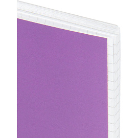 Бизнес-тетрадь Attache Metallic А5 96 листов фиолетовая в клетку гребень фольга (204х146 мм)