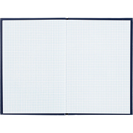 Книга учета 80 листов A4 в клетку на сшивке блок офсет (обложка из бумвинила)