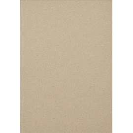 Картон цветной Выбор есть Отличник (283х203 мм, 10 листов, 10 цветов, немелованный)