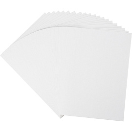 Картон белый Выбор Есть (А4, 20 листов, немелованный)