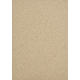 Картон цветной Выбор есть Отличник (283х203 мм, 24 листа, 12 цветов, немелованный)