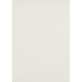 Картон цветной Выбор есть Отличник (283х203 мм, 20 листов, 10 цветов, мелованный)