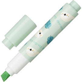 Набор текстовыделителей M&G Summer Cha Cha 6 цветов скошенный наконечник (толщина линии 0.35-4 мм)