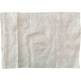 Салфетки влажные Альтсепт Лайт дезинфицирующие (120 салфеток в упаковке)