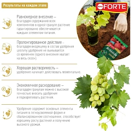 Удобрение для хвойных растений Bona Forte 5 кг