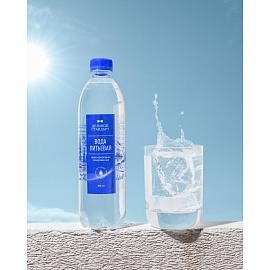 Вода питьевая Деловой Стандарт газированная 0.5 л