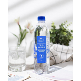 Вода питьевая Деловой Стандарт газированная 0.5 л