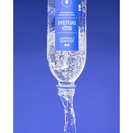 Вода питьевая Деловой Стандарт газированная 0.5 л