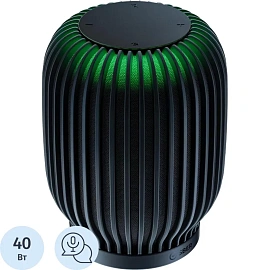 Умная колонка Sber SberBoom чёрная с подсветкой (SBDV-00090A)