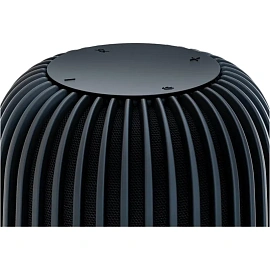 Умная колонка Sber SberBoom чёрная с подсветкой (SBDV-00090A)