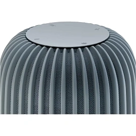 Умная колонка Sber SberBoom серая с подсветкой (SBDV-00090S)