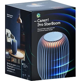 Умная колонка Sber SberBoom серая с подсветкой (SBDV-00090S)
