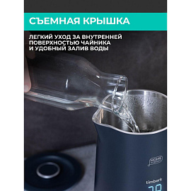 Чайник электрический Timberk T-EK21S104WF чёрный
