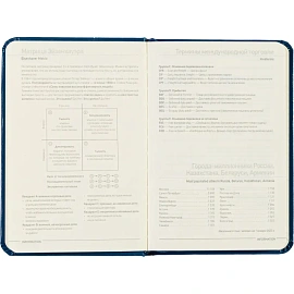 Ежедневник недатированный Bruno Visconti Megapolis искусственная кожа А6 100 листов синий с фиксирующей резинкой