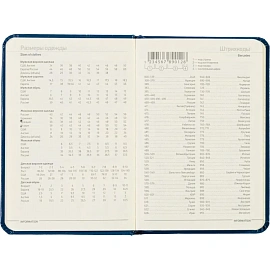 Ежедневник недатированный Bruno Visconti Megapolis искусственная кожа А6 100 листов синий с фиксирующей резинкой