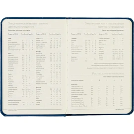 Ежедневник недатированный Bruno Visconti Megapolis искусственная кожа А6 100 листов синий с фиксирующей резинкой