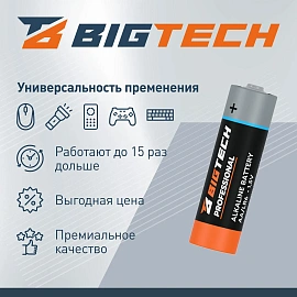 Батарейка AA пальчиковая BigTech Professional (4 штуки в упаковке)