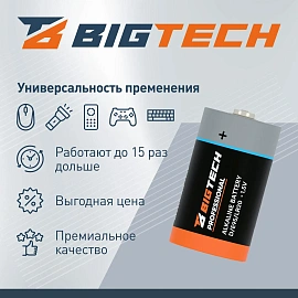Батарейка BigTech Professional D/E95/LR20 бл/2шт