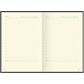 Ежедневник недатированный, А5, 160л., кожа, Delucci, гладкая кожа, золот. срез, черный