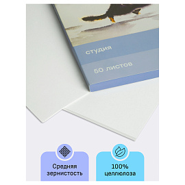 Папка для акварели, 50л., А4, Гамма "Студия", 200г/м2, среднее зерно фото Папка для акварели, 50л., А4, Гамма "Студия", 200г/м2, среднее зерно