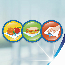 Полотенца бумажные Zewa 2-слойные белые 2 рулона по 14 метров