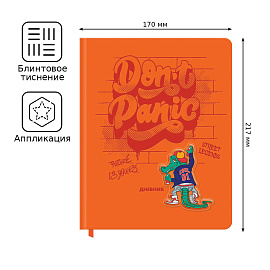 Дневник 1-11 кл. 48л. (твердый) BG "Don