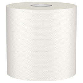 Полотенца бумажные рулонные Veiro Professional Basic M2 1-слойные серые 6 рулонов по 300 метров (KP105)