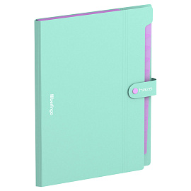 Папка 12 отделений Berlingo "Haze", А4, 600мкм, на кнопке, мятная фото Папка 12 отделений Berlingo "Haze", А4, 600мкм, на кнопке, мятная