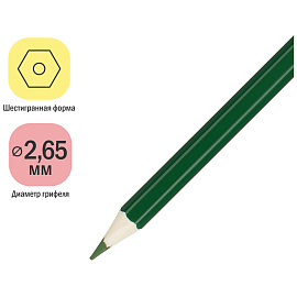 Карандаши цветные ArtSpace "Милые зверушки", 24цв., заточен., картон, европодвес фото Карандаши цветные ArtSpace "Милые зверушки", 24цв., заточен., картон, европодвес