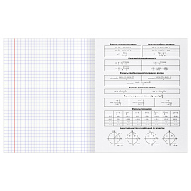 Комплект (10 шт.) предметных тетрадей 40л. BG "Робот", эконом