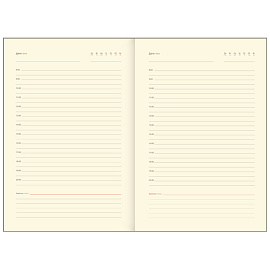 Ежедневник недатированный, А5, 136л., кожзам, Greenwich Line "Vision. Quadro. Powder", тон. блок, срез фольга