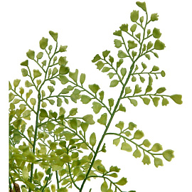 Растение искусственное в горшке Вещицы Папоротник курчавый 48 см (Mia11)