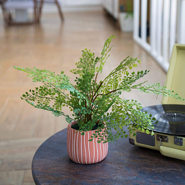 Растение искусственное в горшке Вещицы Папоротник курчавый 48 см (Mia11)