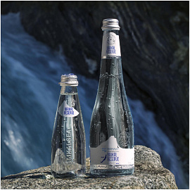 Вода минеральная Baikal Reserve лечебно-столовая газированная 0.75 л