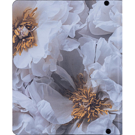 Тетрадь на кольцах со сменным блоком Infolio Study Beauty А5 120 листов с рисунком в клетку с перфорацией, тиснение фольгой