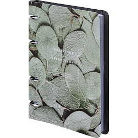 Тетрадь на кольцах со сменным блоком Be Smart Botanica Эвкалипт А5 120 листов с рисунком в клетку с перфорацией, матовая ламинация