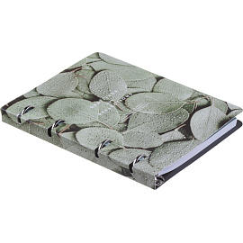 Тетрадь на кольцах со сменным блоком Be Smart Botanica Эвкалипт А5 120 листов с рисунком в клетку с перфорацией, матовая ламинация