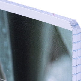 Тетрадь общая Be Smart Botanica А5 48 листов в клетку на скрепке (обложка с рисунком агава, матовая ламинация)