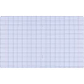 Тетрадь общая Be Smart Botanica А5 48 листов в клетку на скрепке (обложка с рисунком агава, матовая ламинация)