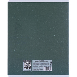 Тетрадь общая Be Smart Botanica А5 48 листов в клетку на скрепке (обложка с рисунком агава, матовая ламинация)