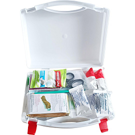 Аптечка первой помощи для учебных и общеобразовательных учреждений ФЭСТ по приказу №261н с наполнителем (пластиковый бокс)