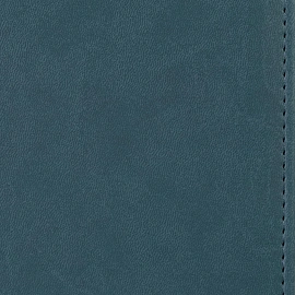 Ежедневник недатированный Attache Сиам искусственная кожа А5 176 листов бирюзовый фото Ежедневник недатированный Attache Сиам искусственная кожа А5 176 листов бирюзовый