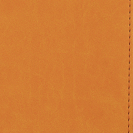 Ежедневник недатированный Attache Сиам искусственная кожа А5 176 листов оранжевый