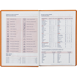 Ежедневник недатированный Attache Сиам искусственная кожа А5 176 листов оранжевый