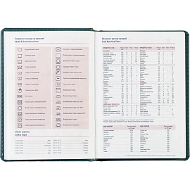 Ежедневник недатированный Attache Сиам искусственная кожа А6 176 листов бирюзовый