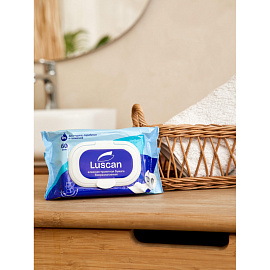 Бумага туалетная влажная Luscan (60 листов в пачке)
