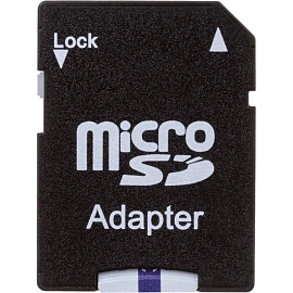 Карта памяти 32 ГБ micro SD Dahua DHI-TF-C100/32GB Class 10