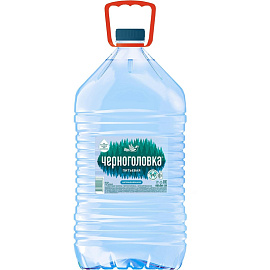 Вода питьевая Черноголовка негазированная 5 л фото Вода питьевая Черноголовка негазированная 5 л