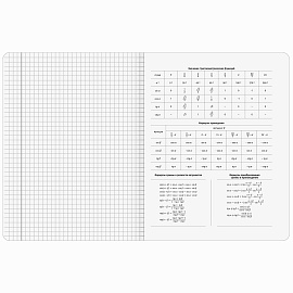 Тетради предметные, КОМПЛЕКТ 5 ПРЕДМЕТОВ, 48 л., SoftTouch, BRAUBERG "РИТМ", 405187