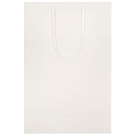 Пакет подарочный Проект 111 Porta (35x23x10 см, 15837.61)